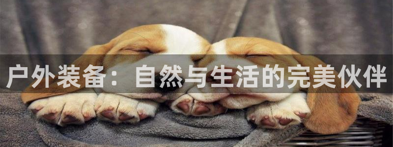 新宝gg 首页