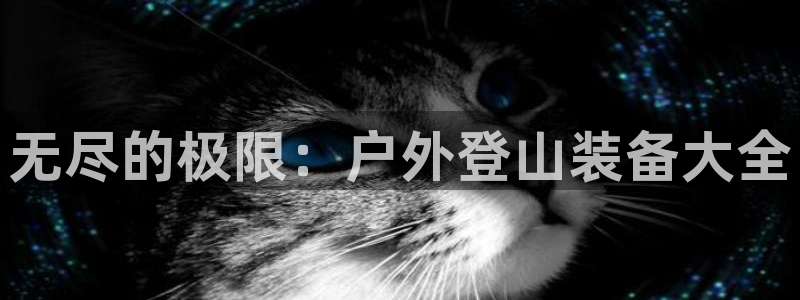 新宝gg游戏平台