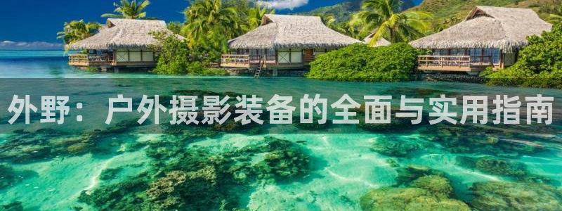 新宝gg在哪开户