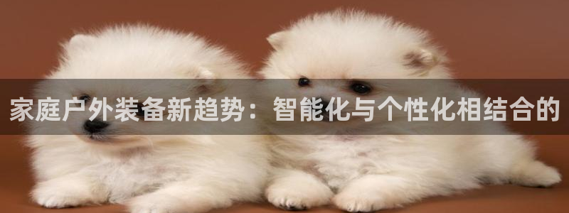 新宝gg如何代理