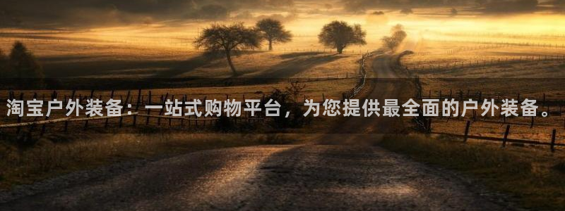 新宝gg返点1956是多少