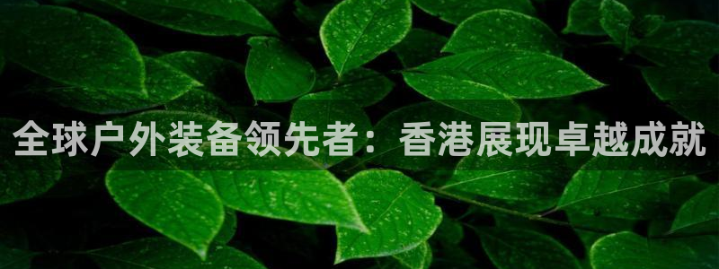 新宝gg首页平台