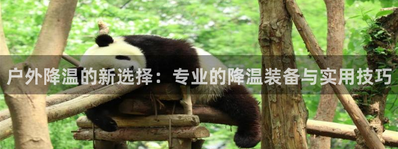 新宝gg怎么开户