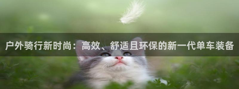 新宝GG官方域名