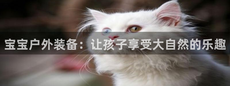 新宝gg客服电话